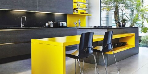 Cuisine moderne de haute technologie avec des cactus