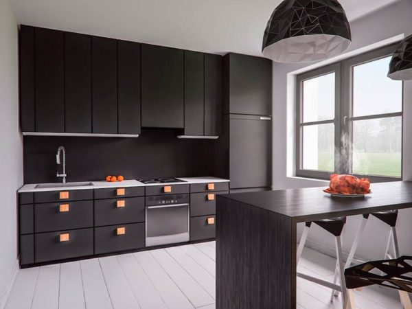 Minimalism style wenge kitchen