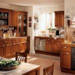 Hota de cort peste sobă