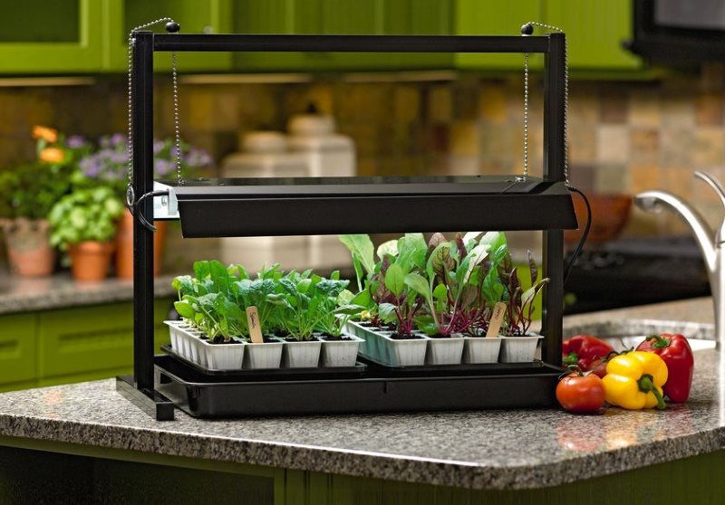 Mutfak adasının tezgahında ışıklı mini bahçe