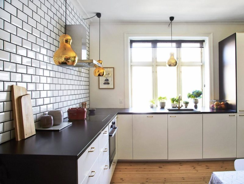 Azulejos de jabalí en el interior de la cocina sin armarios colgantes