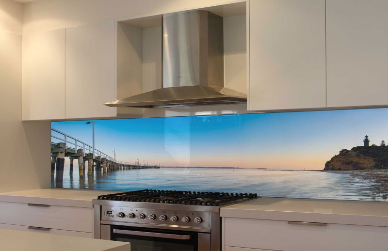 Orilla del mar en el skinhead en una cocina gris