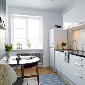 Javali de telha em um avental de cozinha