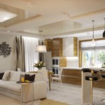 Eco-style kitchen-living room design