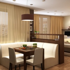 Brown Thin Cloth Curtains