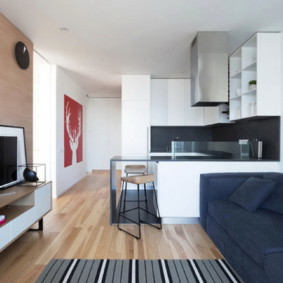 Minimalist kitchen-living room 16 sq. Meters