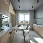 Cocina de dos hileras en una sala rectangular