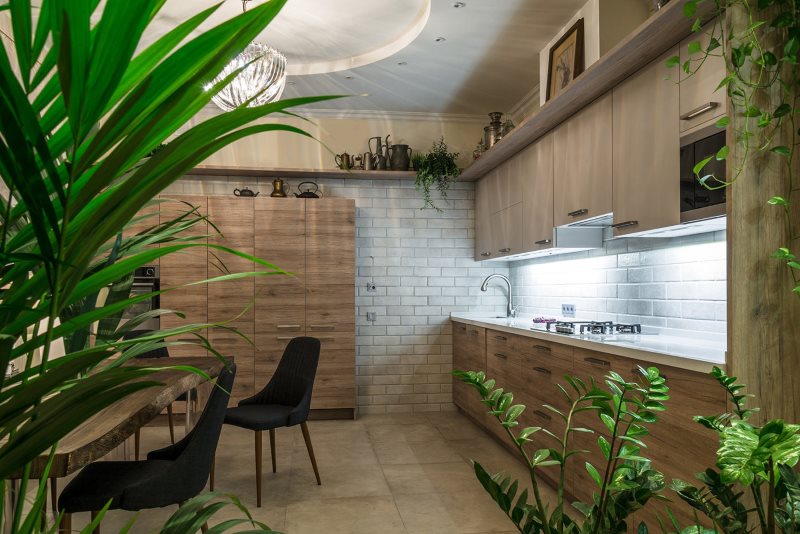 Living plants in the eco-friendly kitchen