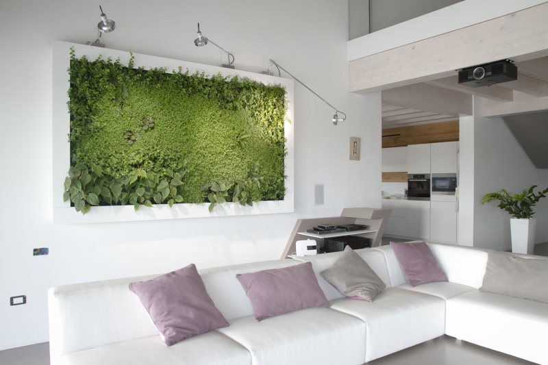 Living carpet on the wall of the kitchen-living room in eco-style