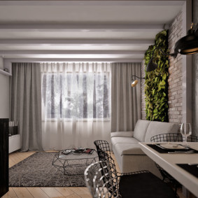 Plantas verdes en la pared de la sala