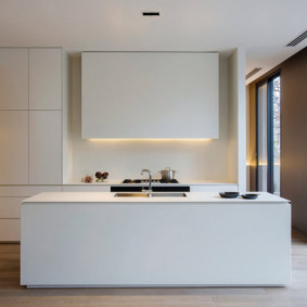Design of a kitchen without decor in a private house