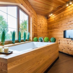 Living plants in the interior of the bathroom