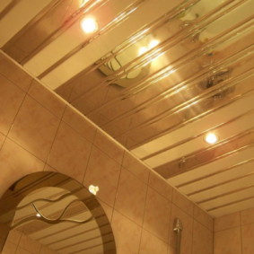 Rails de miroir d'un plafond métallique