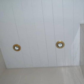 Panneaux en plastique étroits au plafond des toilettes
