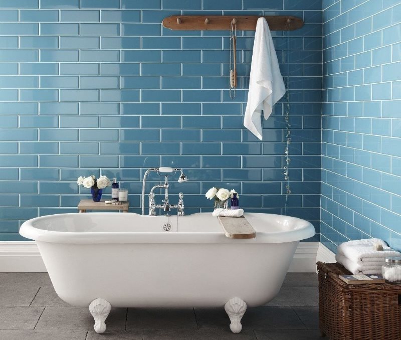 Blue hog on bathroom wall with gray floor
