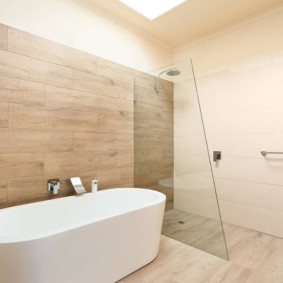 glass curtain for the bathroom photo decor