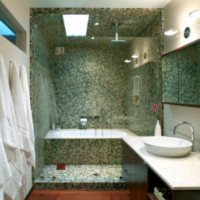 glass curtain for the bathroom photo interior