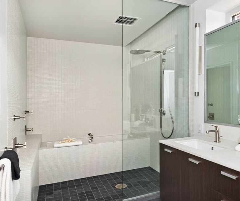 glass curtain for the bathroom photo options