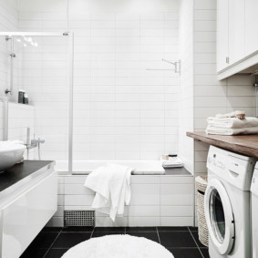 glass curtain for the bathroom interior photo