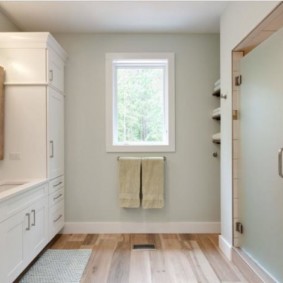 glass curtain for the bathroom decor options