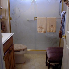 glass curtain for the bathroom photo options