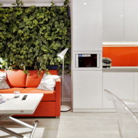 decor de perete în interiorul fotografiei bucătăriei