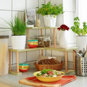 Flores de interior en la decoración de la cocina.