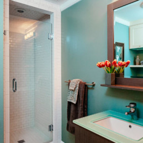 Pereți vopsiți din baie combinată