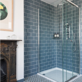 Porc mistreț pe un perete de duș