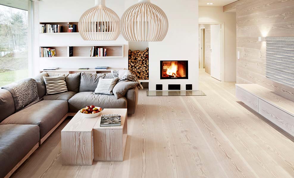 Idées de décoration de salon de style scandinave