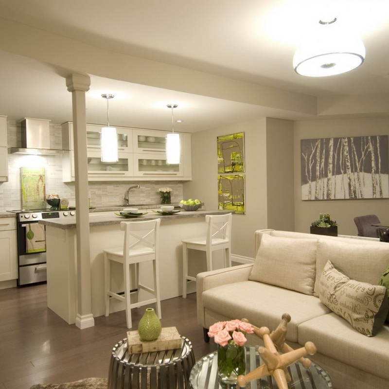 кухня, комбинирана с интериор на зала за снимки