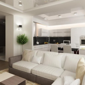 кухня, комбинирана със залата