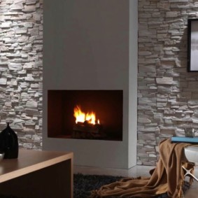 décoration murale options de photo en pierre décorative