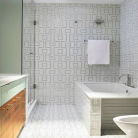 fotografie combinată opțiuni baie