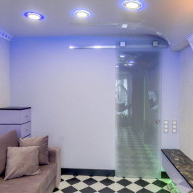 Vantail de porte en verre étroit