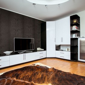 Meubles d'armoire dans un salon de style moderniste