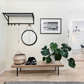 Fleur d'intérieur à grandes feuilles