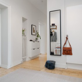 ممر في الصورة الداخلية للشقة