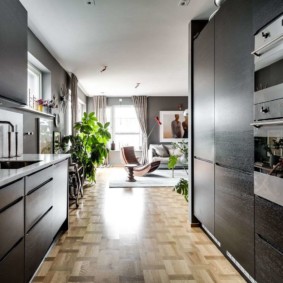 hol hol bucătărie opțiuni foto