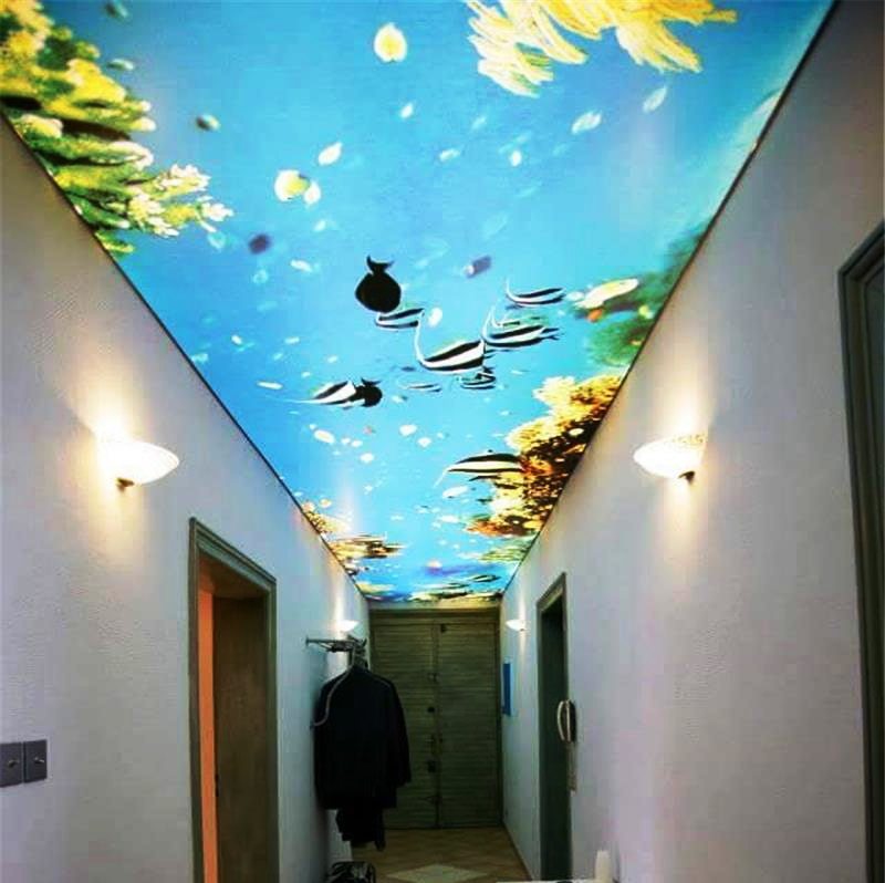 سقف معلق في رواق الفكرة