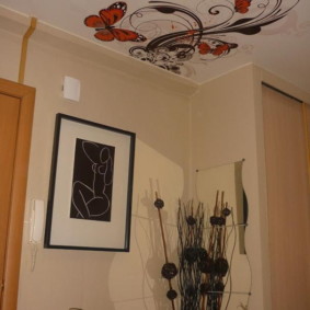 سقف تمتد في أنواع الصور المدخل