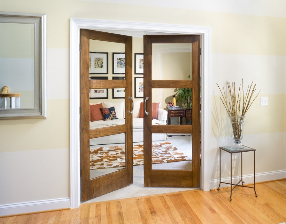 Inserts transparents dans la porte à cadre