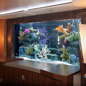 akuarium di dalam ruang foto pangsapuri