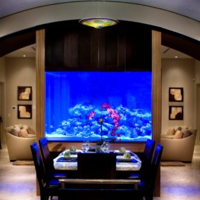 akuarium dalam foto idea apartmen