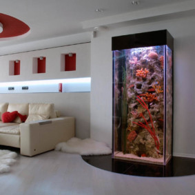 akuarium dalam pilihan foto pangsapuri