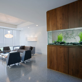 akuarium dalam pilihan foto pangsapuri