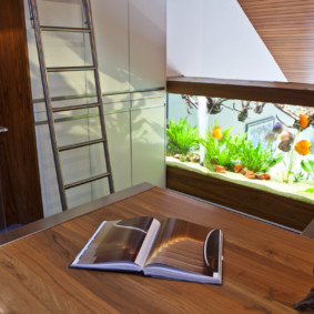 akuarium di spesies foto apartmen