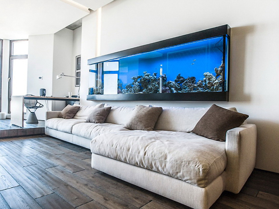 akuarium minimalism