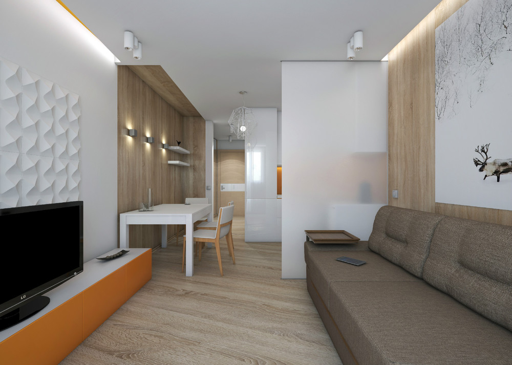 studio minimaliste 28 m2