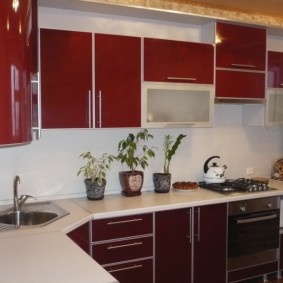 Fleurs d'intérieur sur un plan de travail